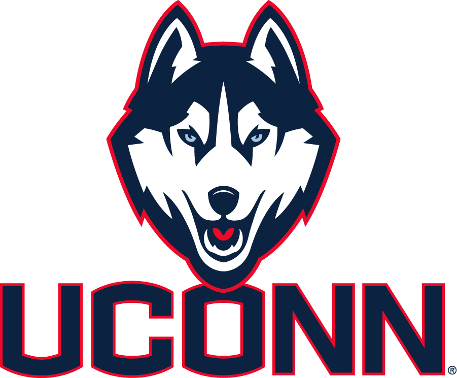 UConn Huskies 2013-Pres Alternate Logo diy DTF decal sticker